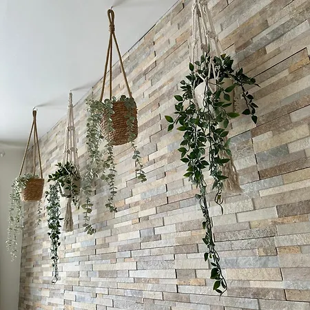 Apartment Harz Hexe